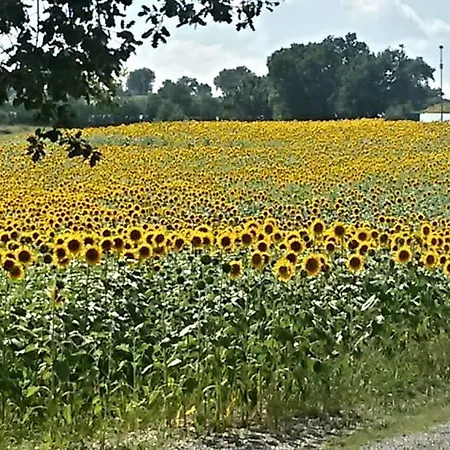 Il Borghetto * San Lorenzo in Campo