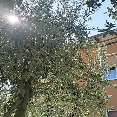 Il Borghetto Appartement *